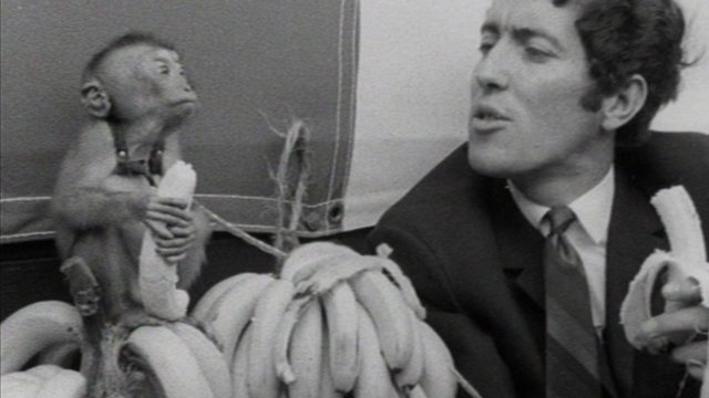 Mwnci a Hywel Gwynfryn