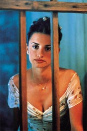 All The Pretty Horse