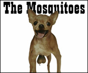 Album cover - A Dog Called Paco