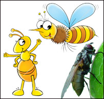 خوږ منزل، تريخ سفر