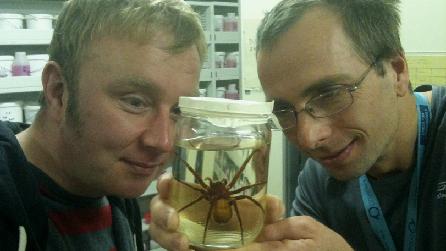 Adam, Julian Carter and a Huntsman Spider from South America Adam, Julian Carter and a Huntsman Spider from South America