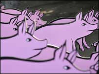 英国人仍然把甲型流感称为猪流感