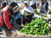 سرمايه با قرضه های کوچک بانکی