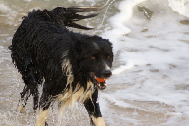 Theres nothing more important in life than a Ball.