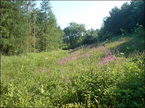 Picture taken by Clive Calow from Dingley, Market Harborough, Leicestershire. 
