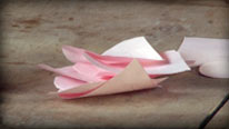 Score the petals
