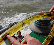 Passive accoustic monitoring equipment