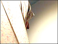 زهرا مادر احمد