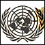 سازمان ملل متحد