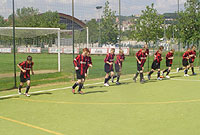 Pêl droedwyr Dinas Powys