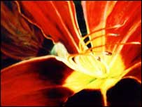 Picture by Sandra Dingley