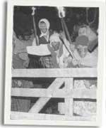 Tom Carnabwth (Ray Gravelle) yn annog Merched Beca!