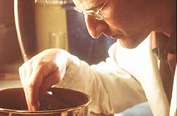 Paul Wignall from Leeds University has pieced together a radical theory of what killed 95% of all life on Earth in the Permian era