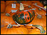 Pumpkins