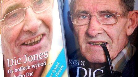 Rhan o gloriau o ddau lyfr