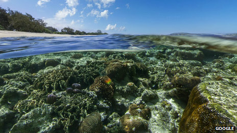 Grande barreira de corais da Austrália. | Foto: Google