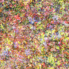 Review of Family Review of Family