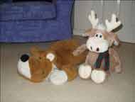 Tigger and Clive sitting on the floor