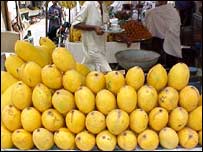 سندھڑی کی پیداوار اور معیار دونوں میں کمی آئی ہے۔