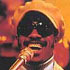 Stevie Wonder
