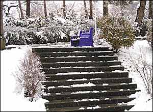 عکس از مسعود فتاحی