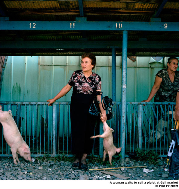 A woman waits to sell a piglet at Gali market