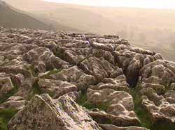 limestone pavement