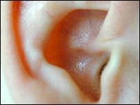 Ear