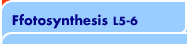 Ffotosynthesis
