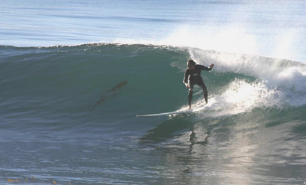 More California dreams from Gary Allensworth. pic 07