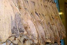 Dried cod