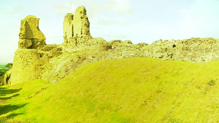 Montgomery Castle