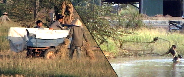 Workers in paddy field and fisherman casting his net