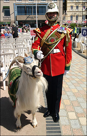 Royal Welsh Regiment goat Shenkin and his handler.