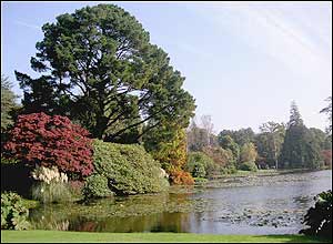 عکس از محمد علی دسترس