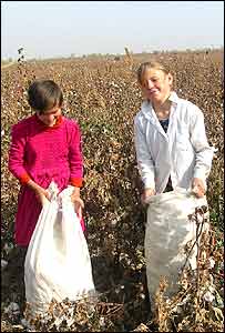 کودکان در ازبکستان پنبه می چينند