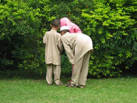 malaysia,photo,celebration