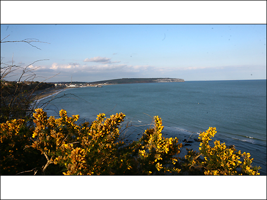 虽然从伦敦到怀特岛的路程只有两三个小时,但这个小岛却洋溢着截然不同的氛围。