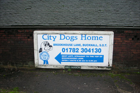 City Dogs Home in Bucknall, Stoke on Trent