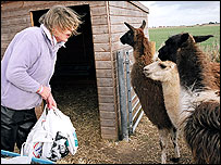 Kerry at home feeding her animals
