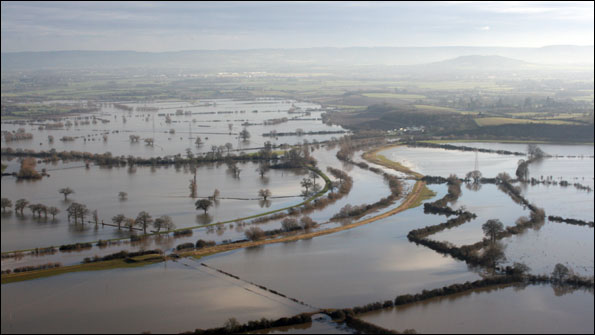 Severn-floodplain-03_SteveS.jpg