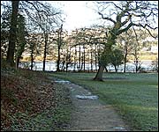 Walking trail through woods