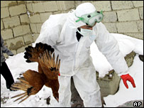 Tiêu thủy gia cầm ở Thổ Nhĩ Kỳ