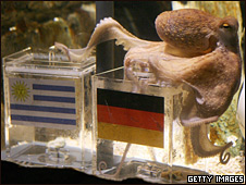 Paul predice las finales