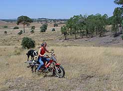 Carolyn Ives and her dog