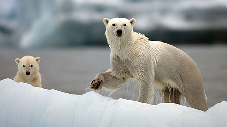 Nature's Great Events