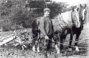 Old black and white photograph of a 19th Century ploughman and horse drawn plough