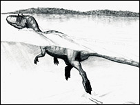 Marcas supostamente deixadas por dinossaurno na Espanha