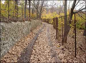 ميلاد رشيدی