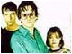 Pulp